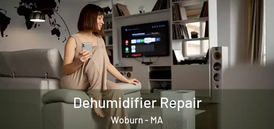  Dehumidifier Repair Woburn - MA