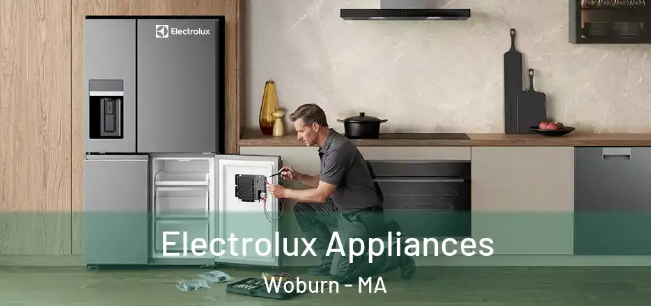  Electrolux Appliances Woburn - MA