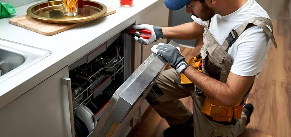 Same Day Dishwasher Not Draining Repair in Woburn