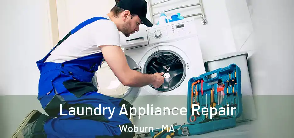  Laundry Appliance Repair Woburn - MA