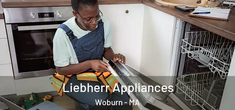  Liebherr Appliances Woburn - MA