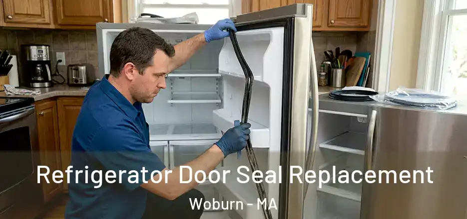 Refrigerator Door Seal Replacement Woburn - MA