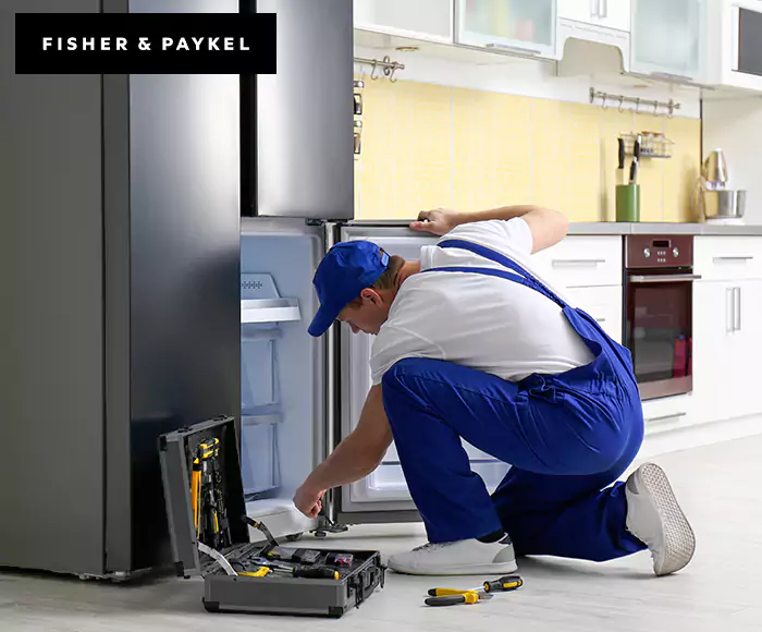 Top-Rated Fisher & Paykel Appliance Experts: Your Brand Specialist in Woburn, MA