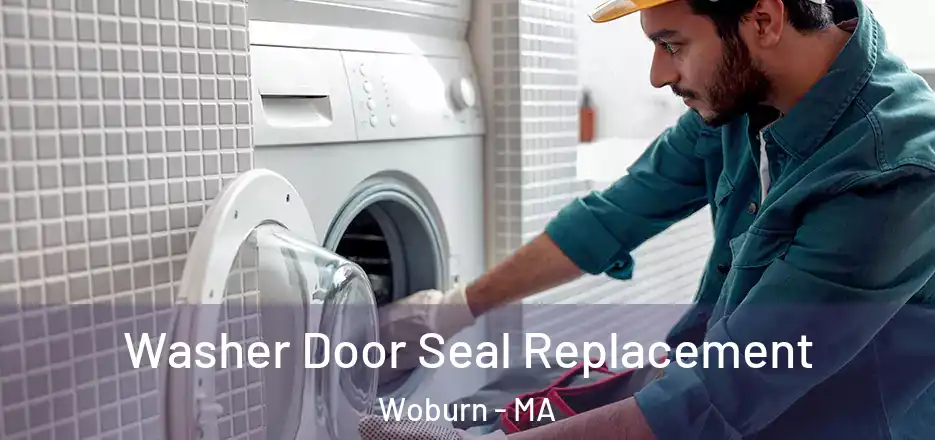  Washer Door Seal Replacement Woburn - MA