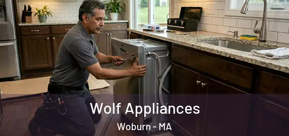  Wolf Appliances Woburn - MA